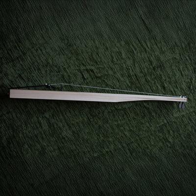 Bass Jouhikko 2 String, Pro